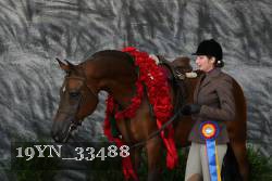 19YN_33488 thumbnail