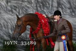 19YN_33489 thumbnail