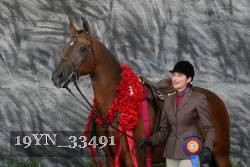 19YN_33491 thumbnail