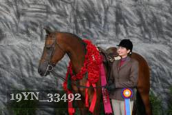 19YN_33492 thumbnail