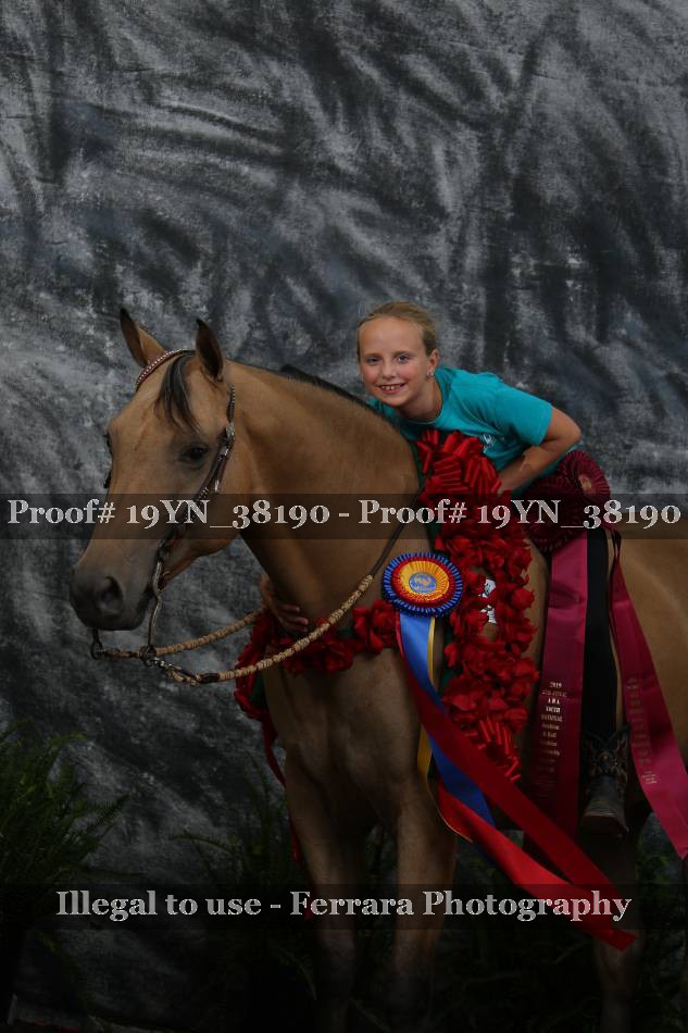 Proof Number 19YN_38190