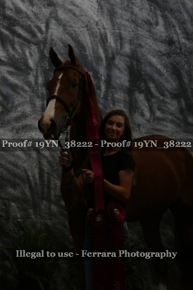 Proof Number 19YN_38222