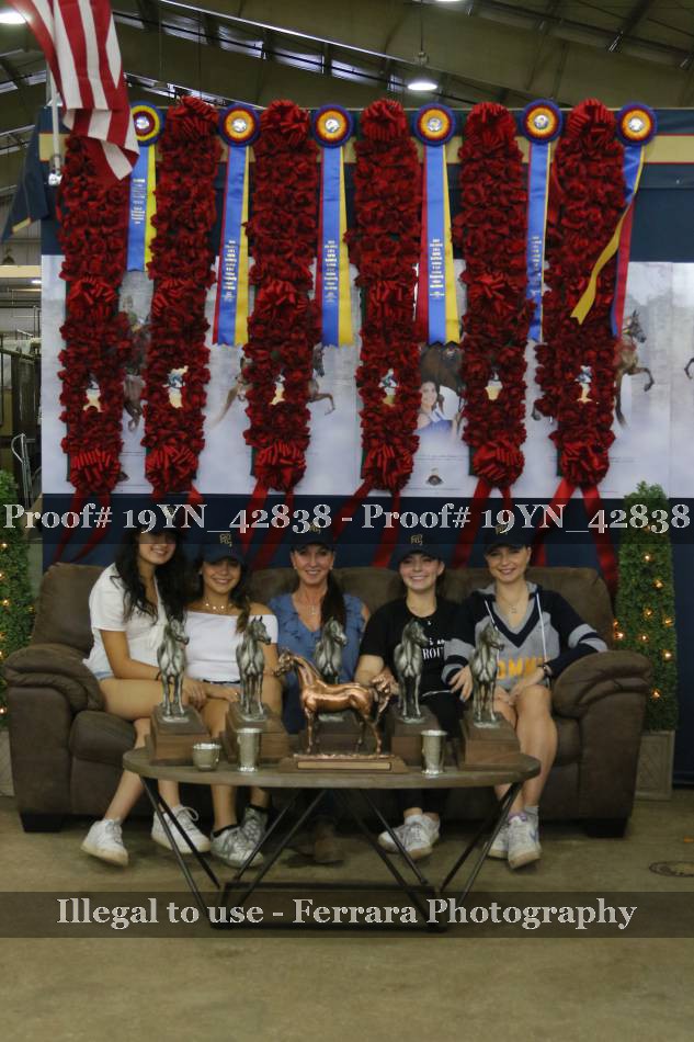 Proof Number 19YN_42838