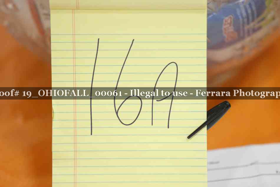 Proof Number 19_OHIOFALL_00061