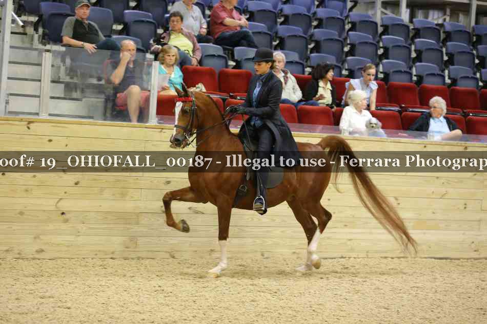 Proof Number 19_OHIOFALL_00187