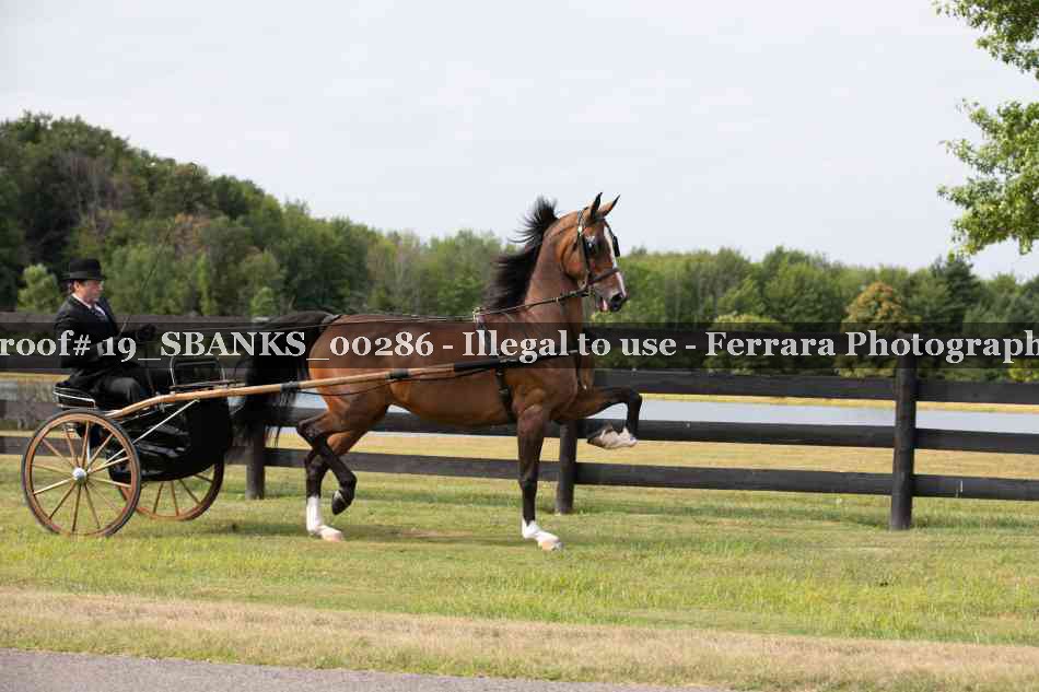 Proof Number 19_SBANKS_00286