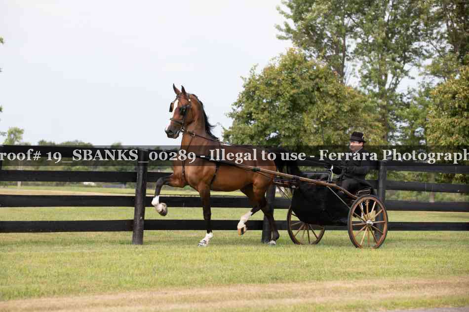 Proof Number 19_SBANKS_00289