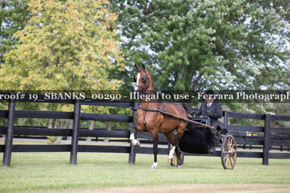 Proof Number 19_SBANKS_00290