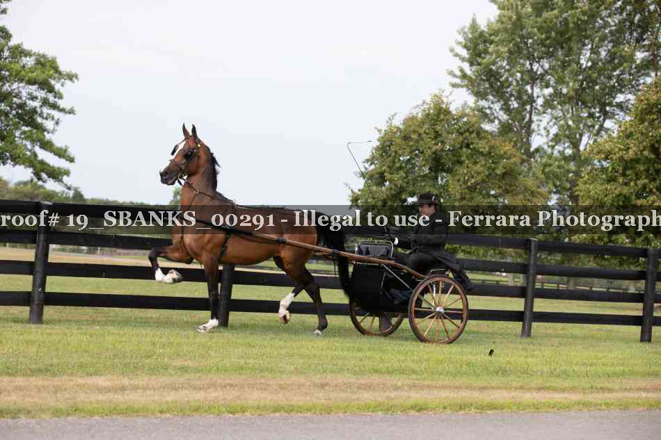 Proof Number 19_SBANKS_00291
