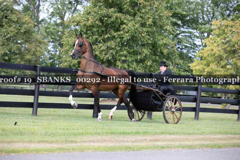 Proof Number 19_SBANKS_00292