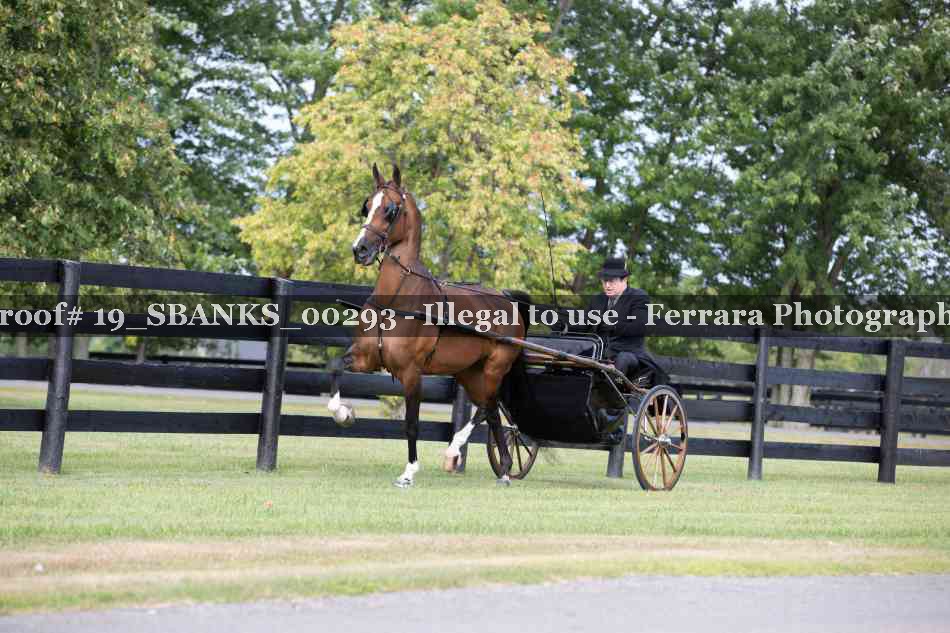 Proof Number 19_SBANKS_00293