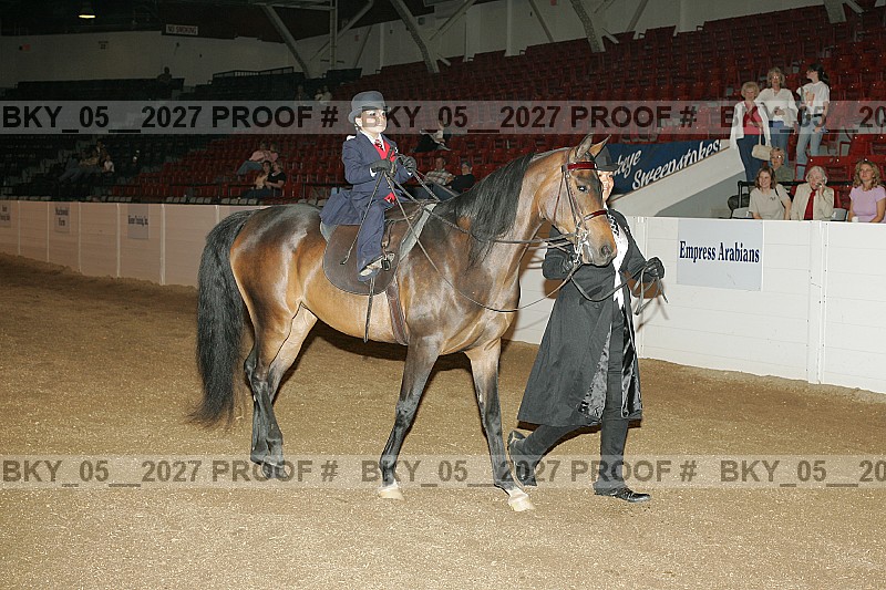 Proof Number bky_05__2027