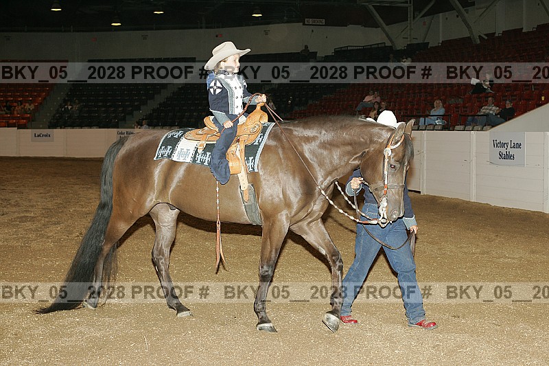 Proof Number bky_05__2028