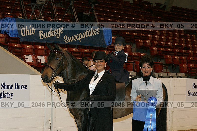 Proof Number bky_05__2046