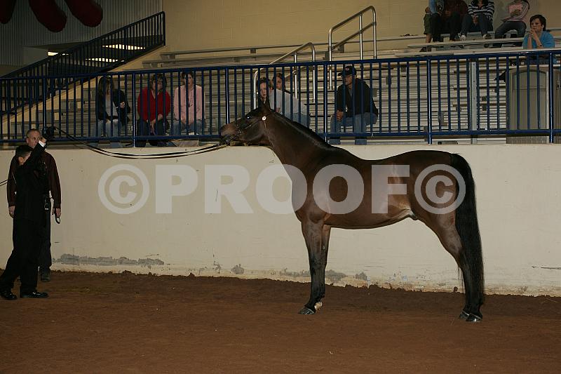 Proof Number fc_05_032