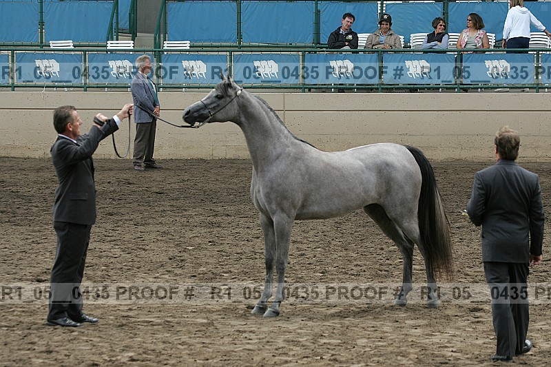 Proof Number r1_05__0435