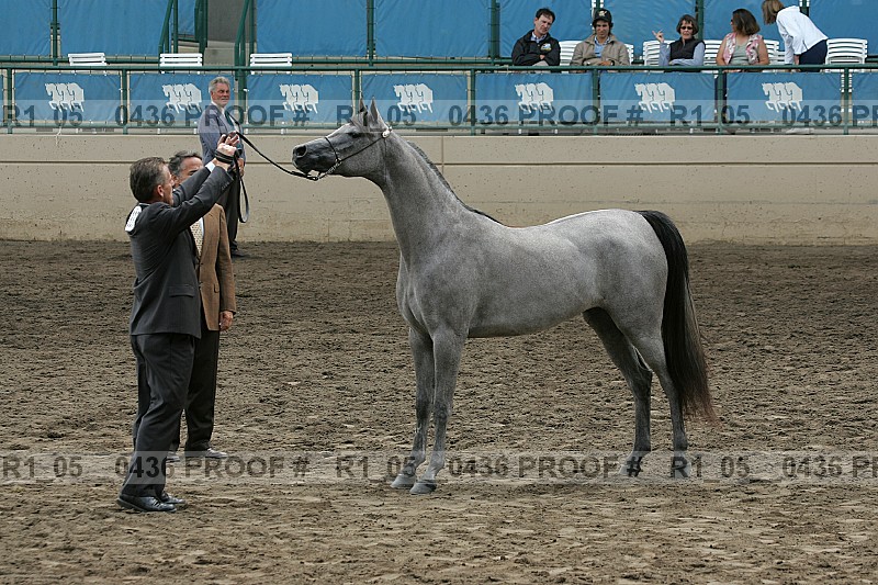 Proof Number r1_05__0436