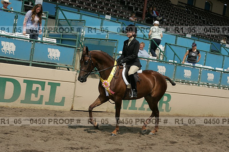Proof Number r1_05__0450