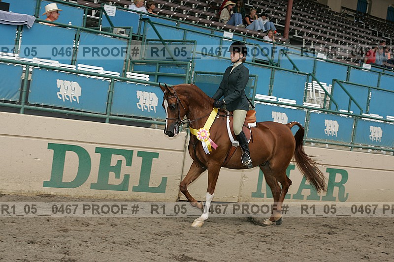 Proof Number r1_05__0467