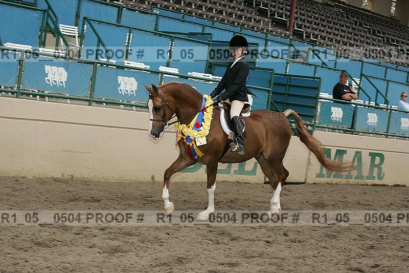 Proof Number r1_05__0504