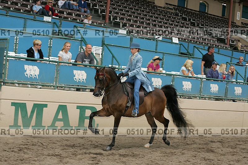 Proof Number r1_05__0510