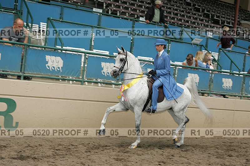 Proof Number r1_05__0520