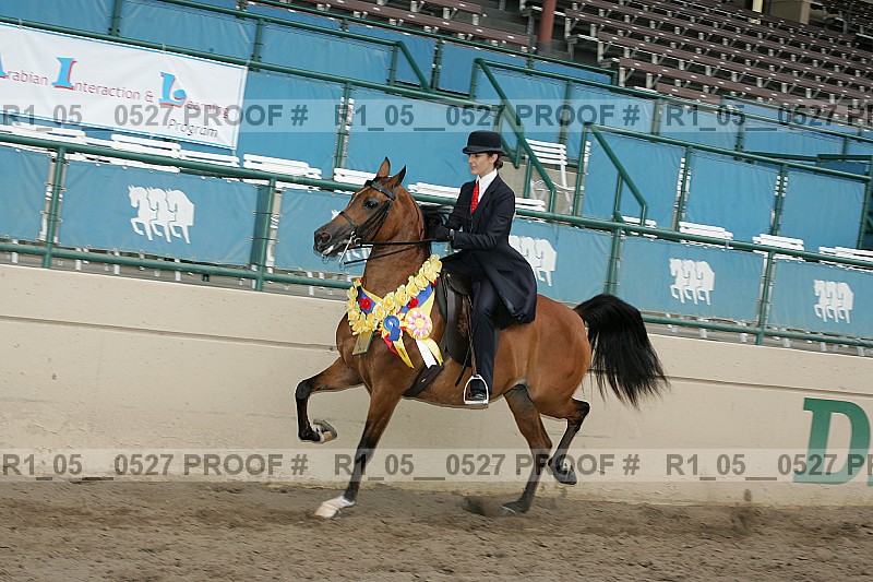Proof Number r1_05__0527