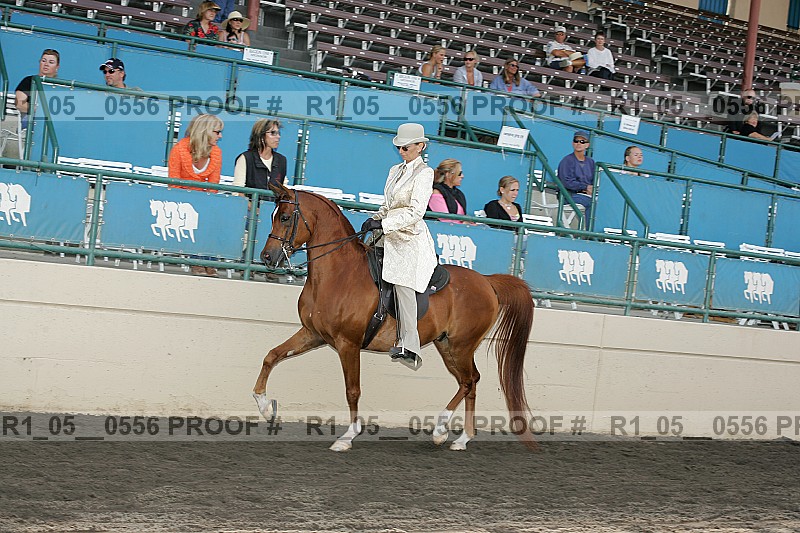 Proof Number r1_05__0556