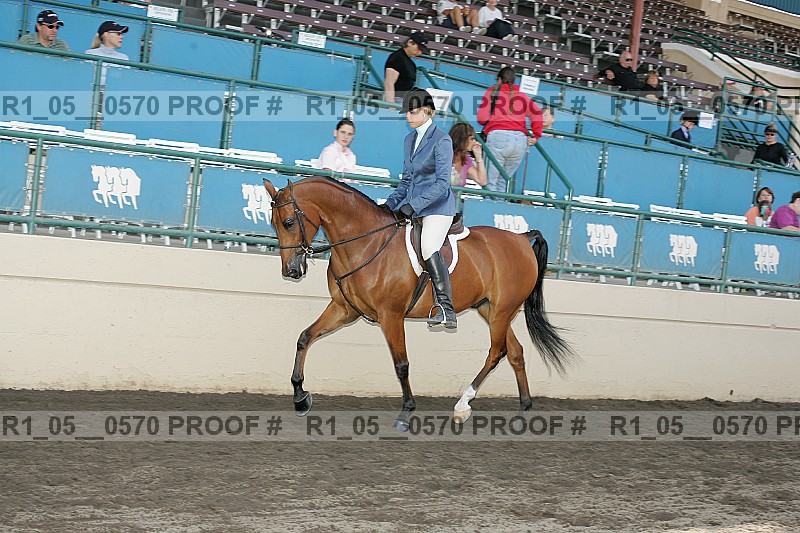 Proof Number r1_05__0570