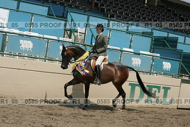 Proof Number r1_05__0585