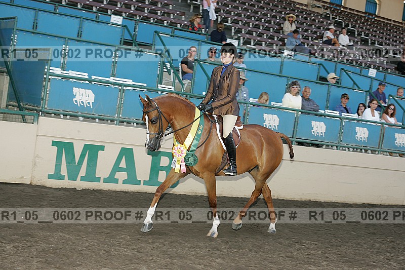 Proof Number r1_05__0602