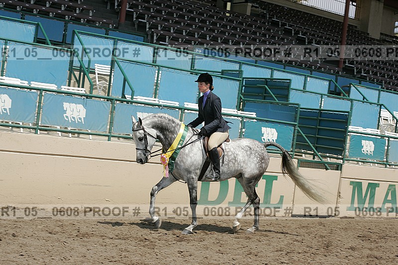 Proof Number r1_05__0608