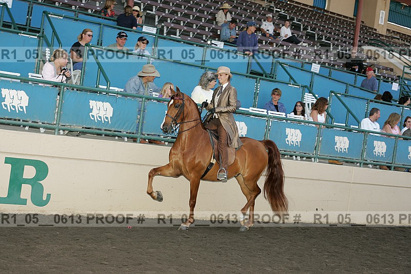 Proof Number r1_05__0613