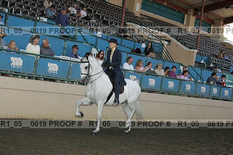 Proof Number r1_05__0619