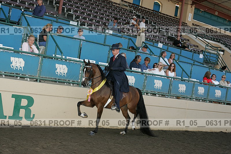 Proof Number r1_05__0631