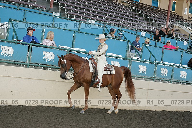 Proof Number r1_05__0729