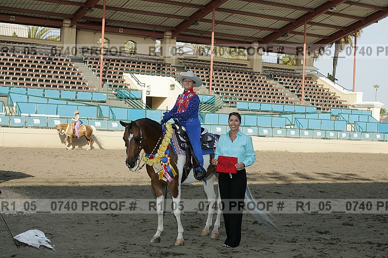 Proof Number r1_05__0740