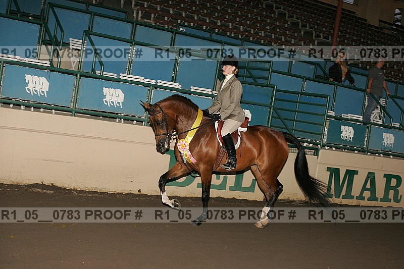Proof Number r1_05__0783