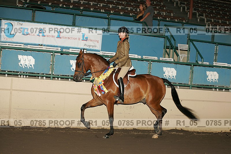 Proof Number r1_05__0785