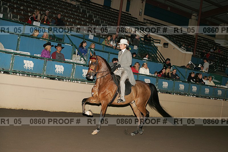Proof Number r1_05__0860