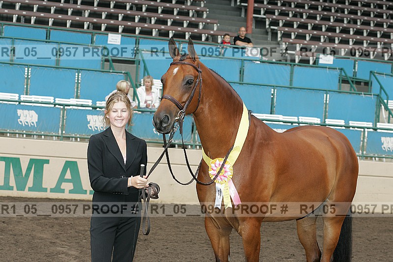 Proof Number r1_05__0957