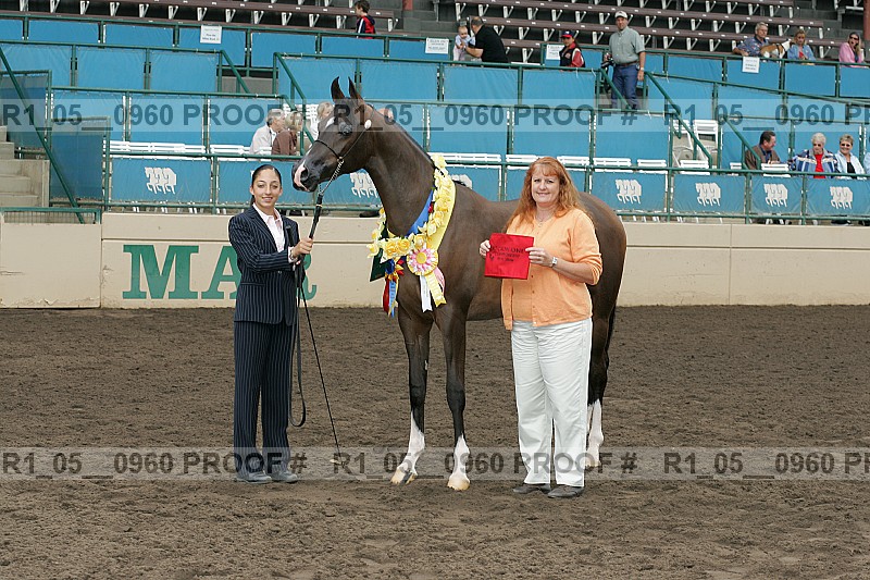 Proof Number r1_05__0960