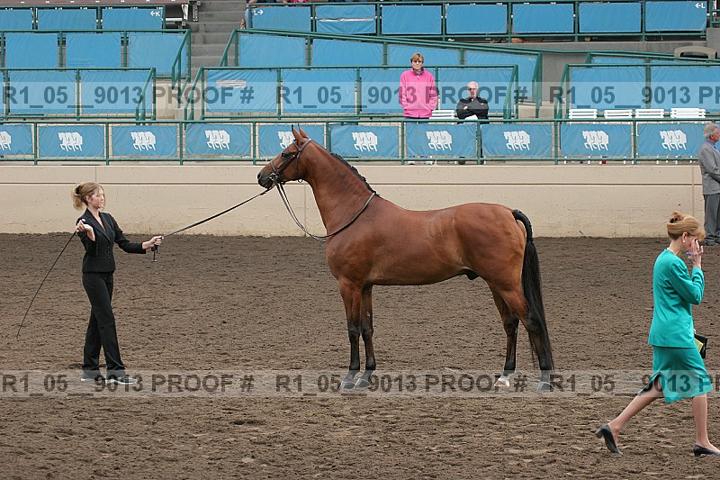 Proof Number r1_05__9013
