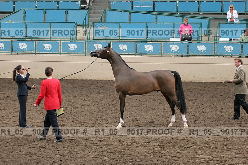 Proof Number r1_05__9017