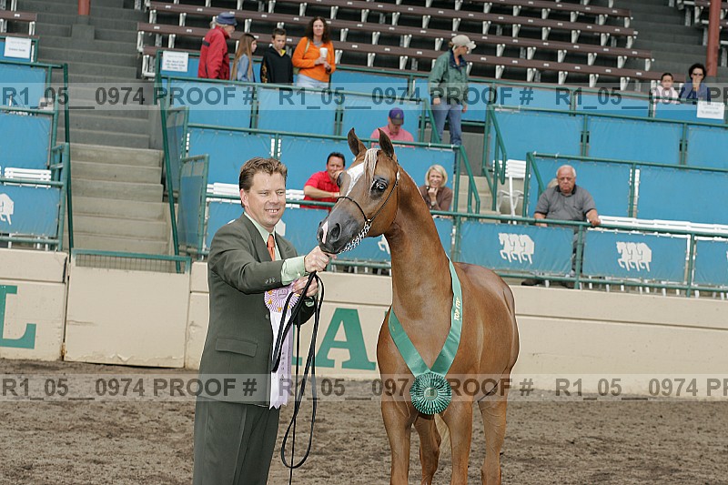 Proof Number r1_05__0974