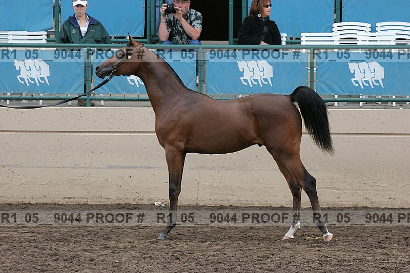 Proof Number r1_05__9044