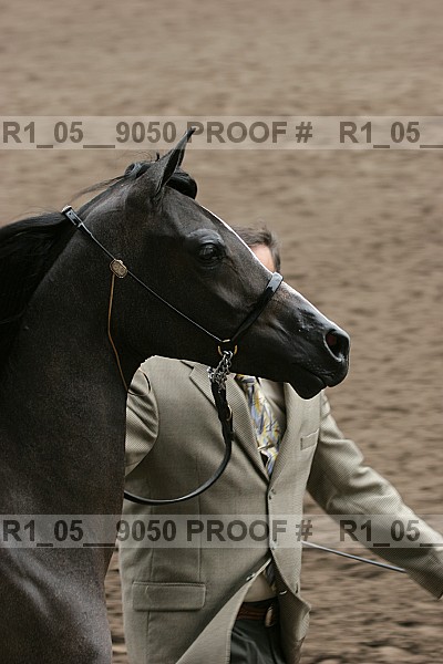 Proof Number r1_05__9050