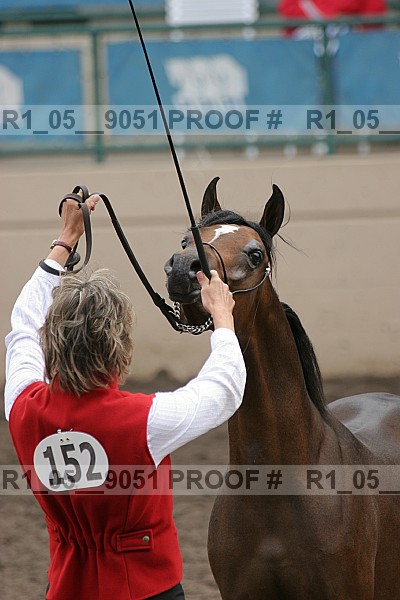 Proof Number r1_05__9051