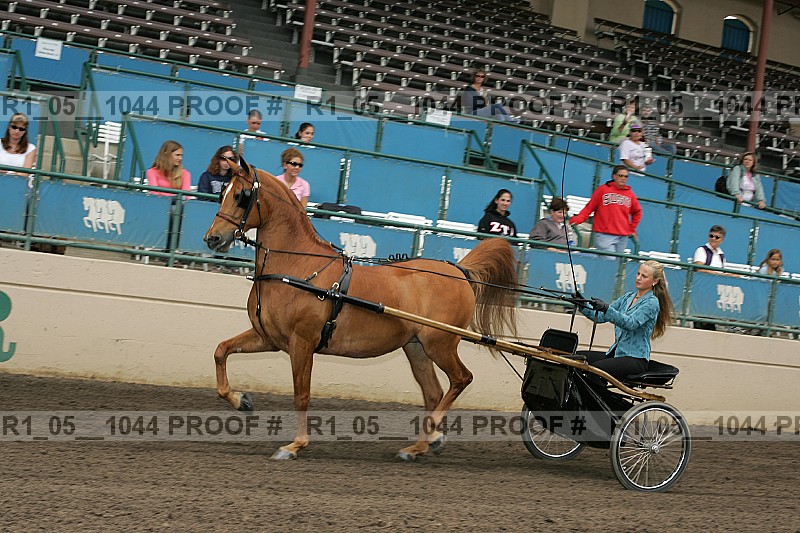Proof Number r1_05__1044