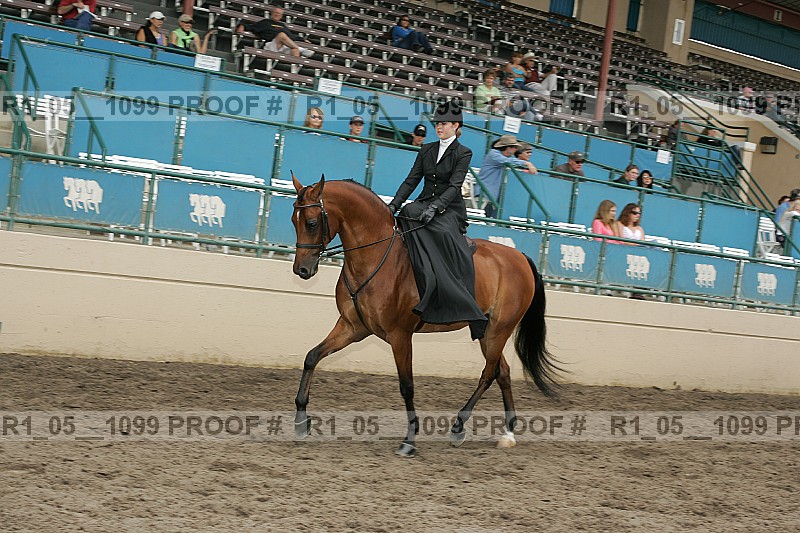 Proof Number r1_05__1099